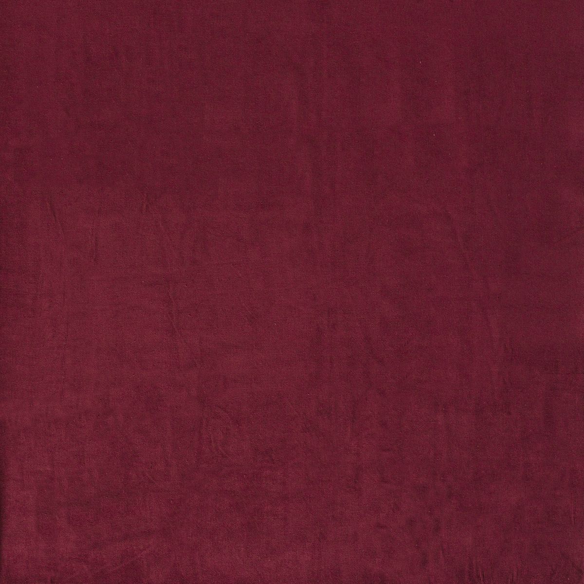Babycord - Bordeaux 20500/018