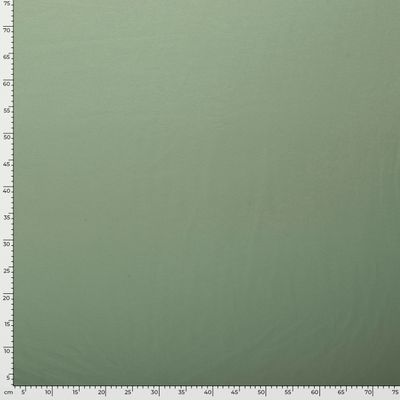 FRENCH TERRY Dark mint